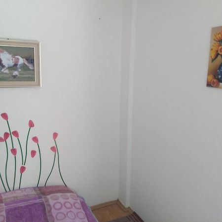Hostel Trajan Donji Milanovac Exterior photo