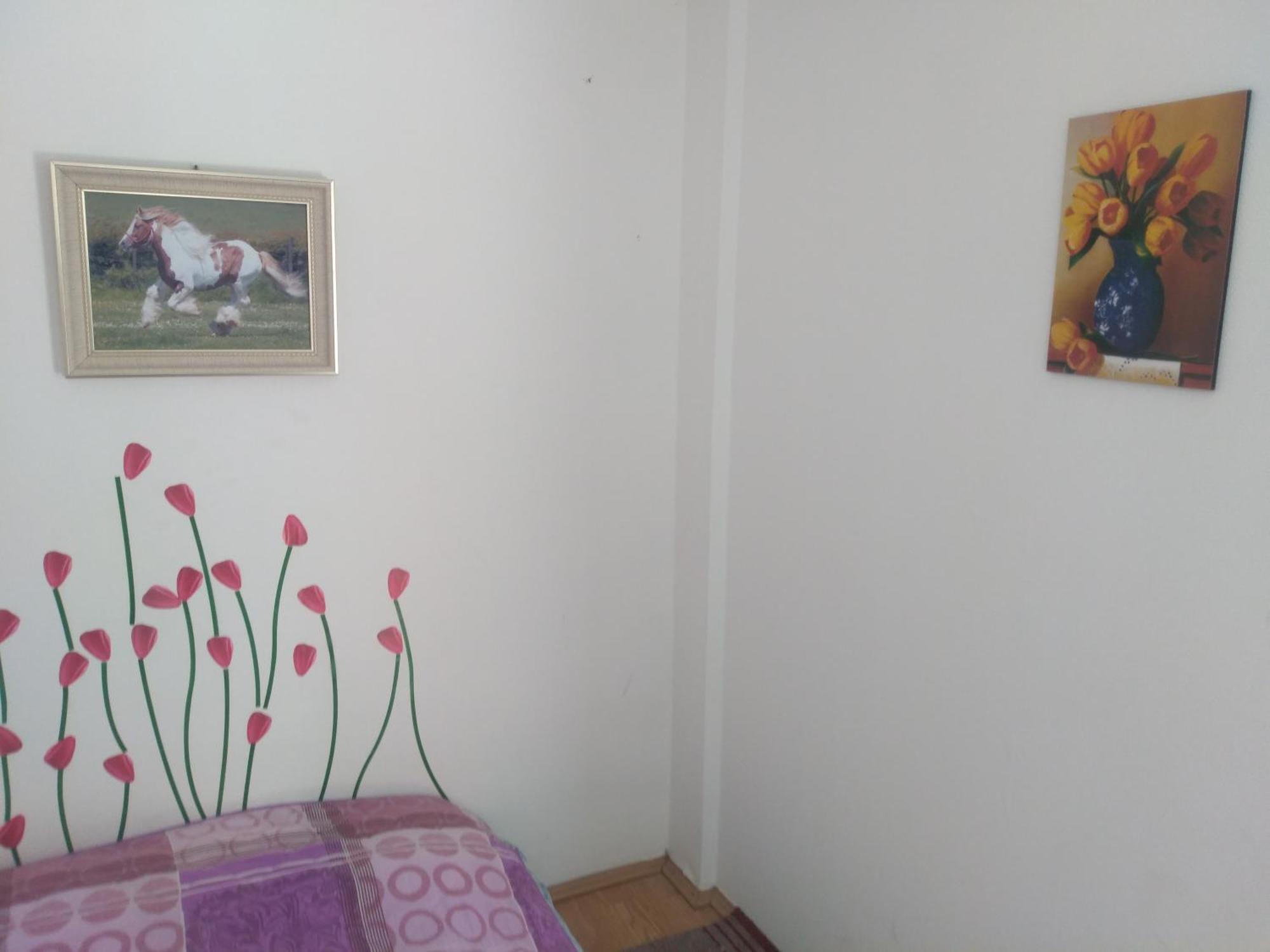 Hostel Trajan Donji Milanovac Exterior photo
